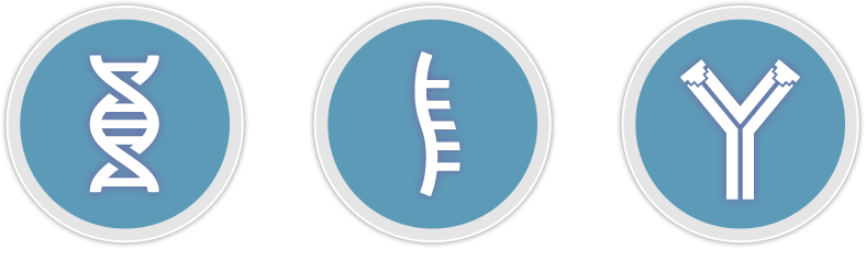 DNA RNA Protein